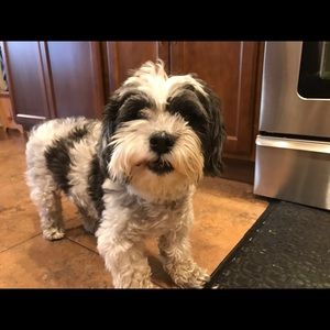 Meet your Posher, Julie